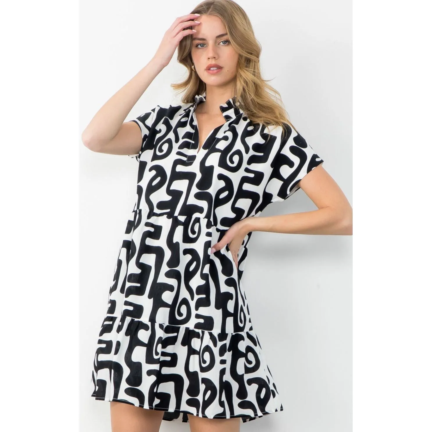 Laura Black White Printed Sleeve THML Dress