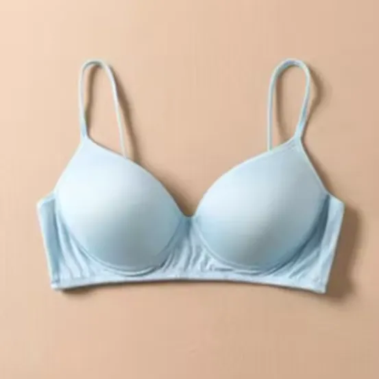 Pure Silk bra Women Fashion lady Wireless seamless padded bras for women push up bralette bralet bralett Female Everyday