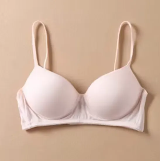 Pure Silk bra Women Fashion lady Wireless seamless padded bras for women push up bralette bralet bralett Female Everyday