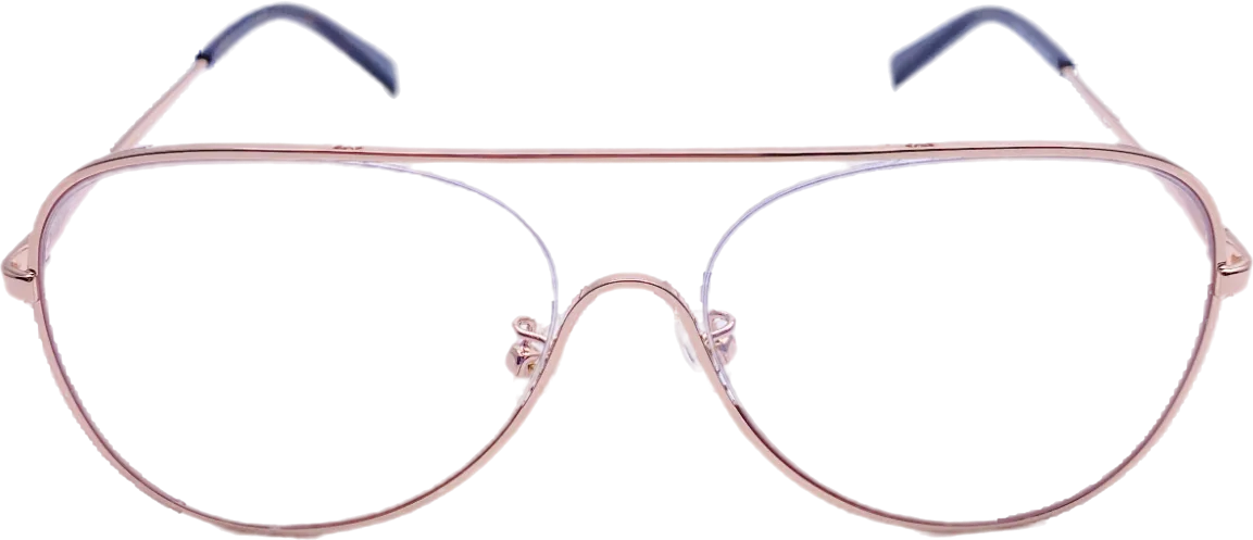 Stella McCartney Metallic Sc0160o Eye Glasses Frames